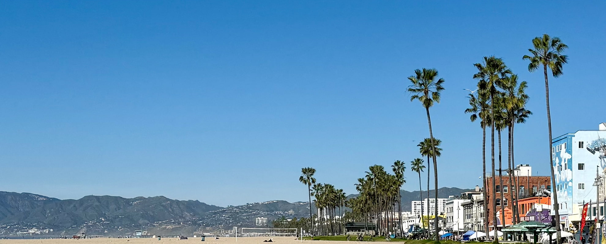 Custom Marketing Projects by Marketing Launch Kit